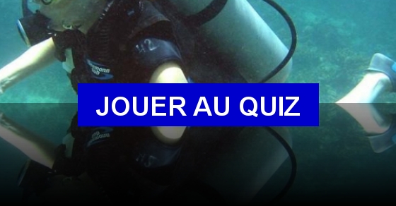 quizz plongee niveau 2 questions