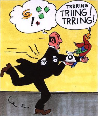 tintin rencontre haddock