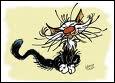 Qui est ce chat ?