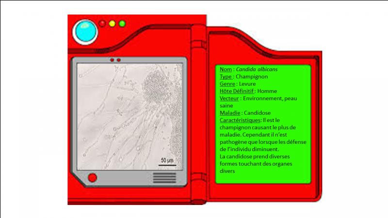 sejour pour rencontre