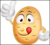 bouton blanc testicules