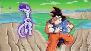 Le chat de dragon ball Images drôles LOLtube