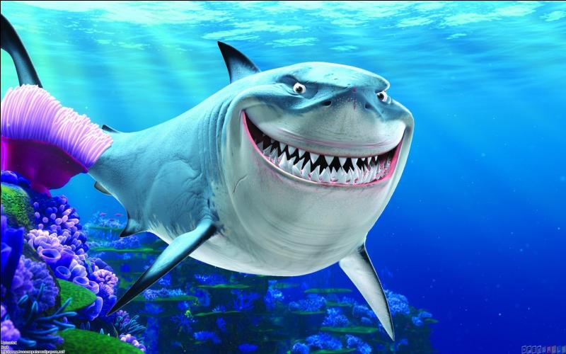 rencontre nemo dory