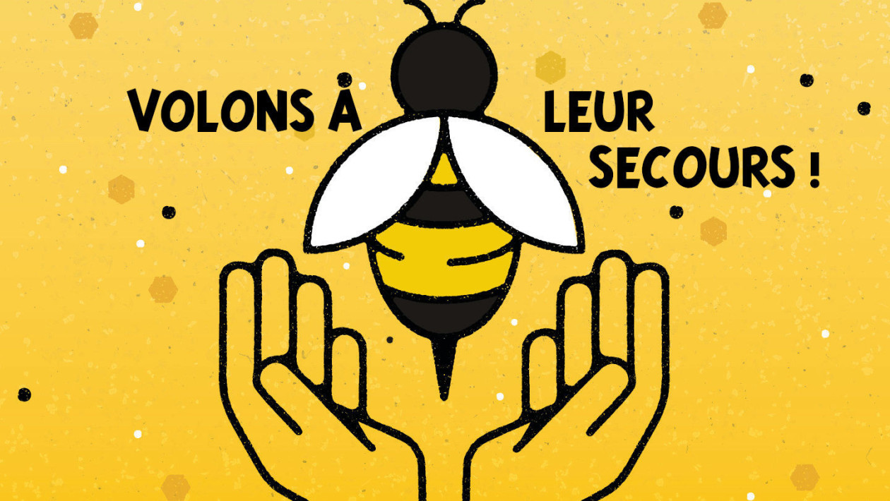 L'abeille ne fait pas le moins... (journe mondiale du 20 mai)