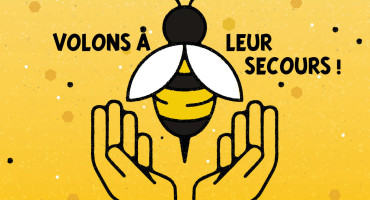 L'abeille ne fait pas le moins... (journe mondiale du 20 mai)