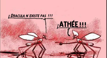Piques épiques te collent le drame (Journée mondiale du moustique 20/8)