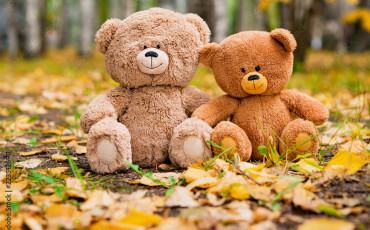 Journée mondiale de l'ours en peluche ! Le 9 septembre