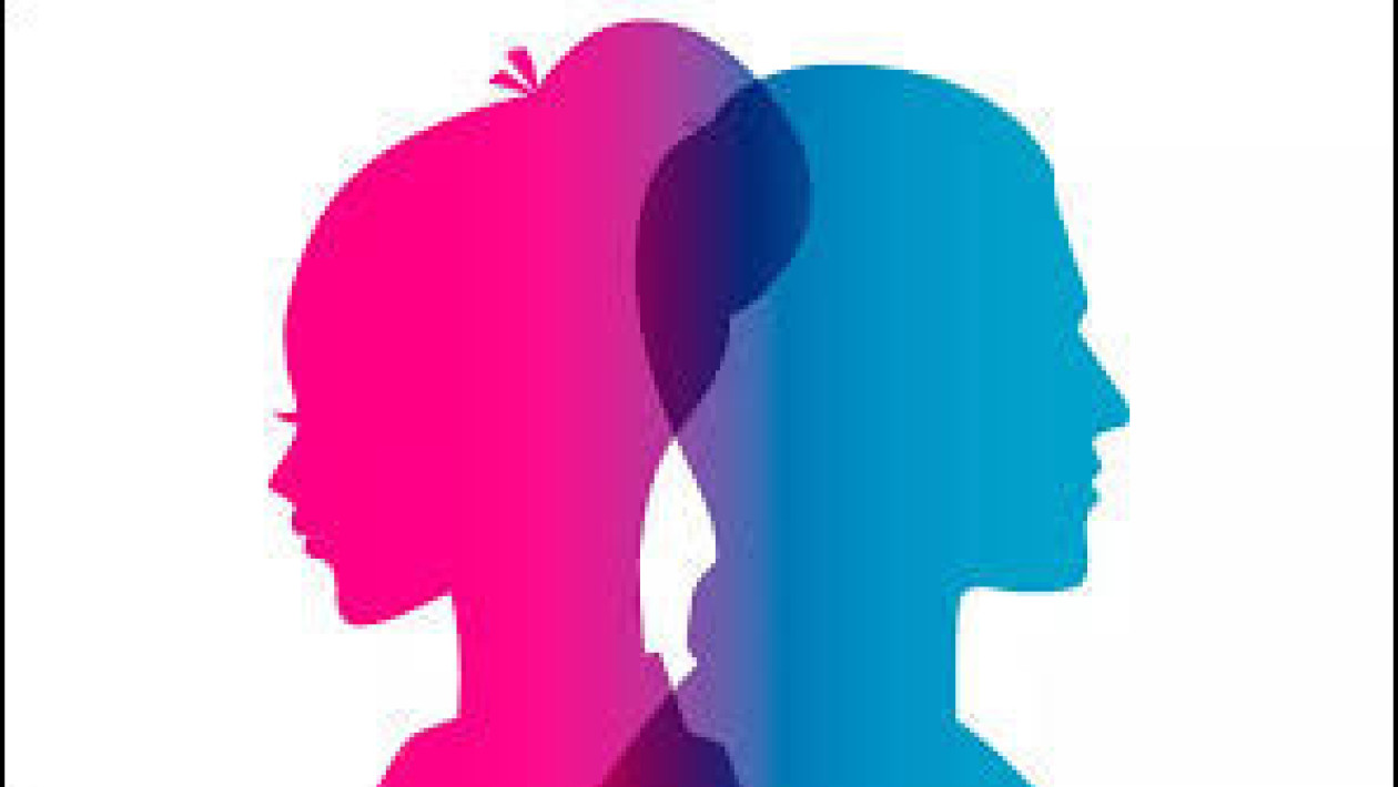 8 mars - Les droits des femmes � l'honneur !