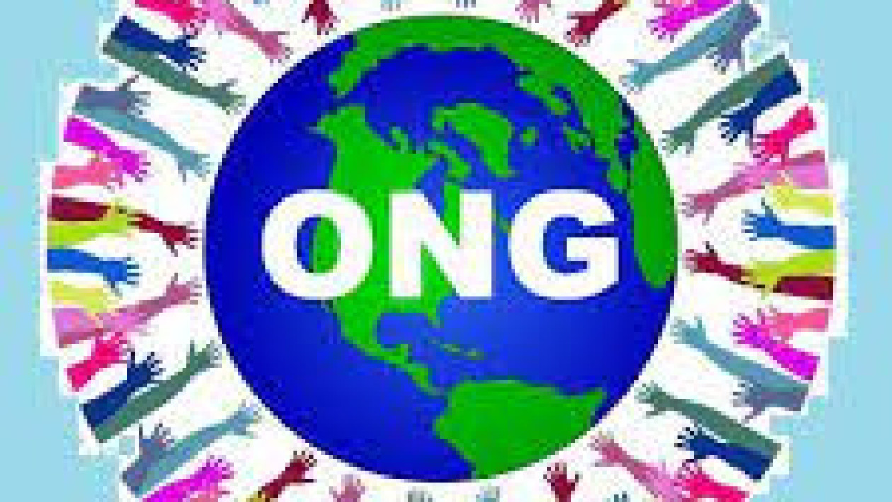 Quiz : Connaissez-vous tout sur les ONG et leur journe mondiale ?