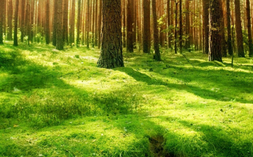 Quiz Notre planète