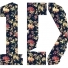 Lili-Directioner