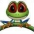 Nanet-frog