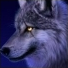 BlackWolf123