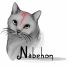 Nabehon