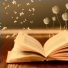 LaFilleAuxLivres