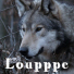 Loupppc