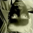 Cluccacc