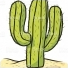 PetitCactus