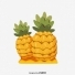 Ptit-ananas