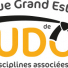 LigueGEJUDO