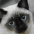Aicha.Gggg