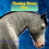 Tuesdayhorsesfirm