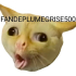 FanDePlumeGrise500