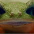 Nashaadcute1