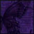Amour16