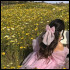 Melisende11