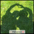 Melisende11