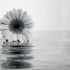 Ji-yoo13