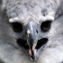 Peepo