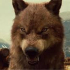 Loup7.0