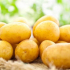 Potato.