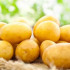Potato.