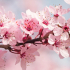 Riverbloom