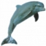 Blue-Dolphin