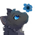 Etoile.de.Bleuet