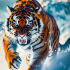 Jeremyyyytiger