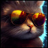 Coolvsflop