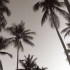 Straykidssss