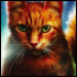 Chatonne2025
