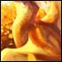 Qibli22
