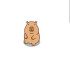 Arracheuse2capybaras