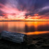 Tornadefeu