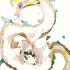 Isarune