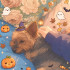 Wonder.bunny