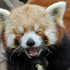 Ewilannn