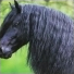 Equaumi